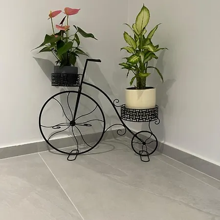 The House Of Johnkou Appartement